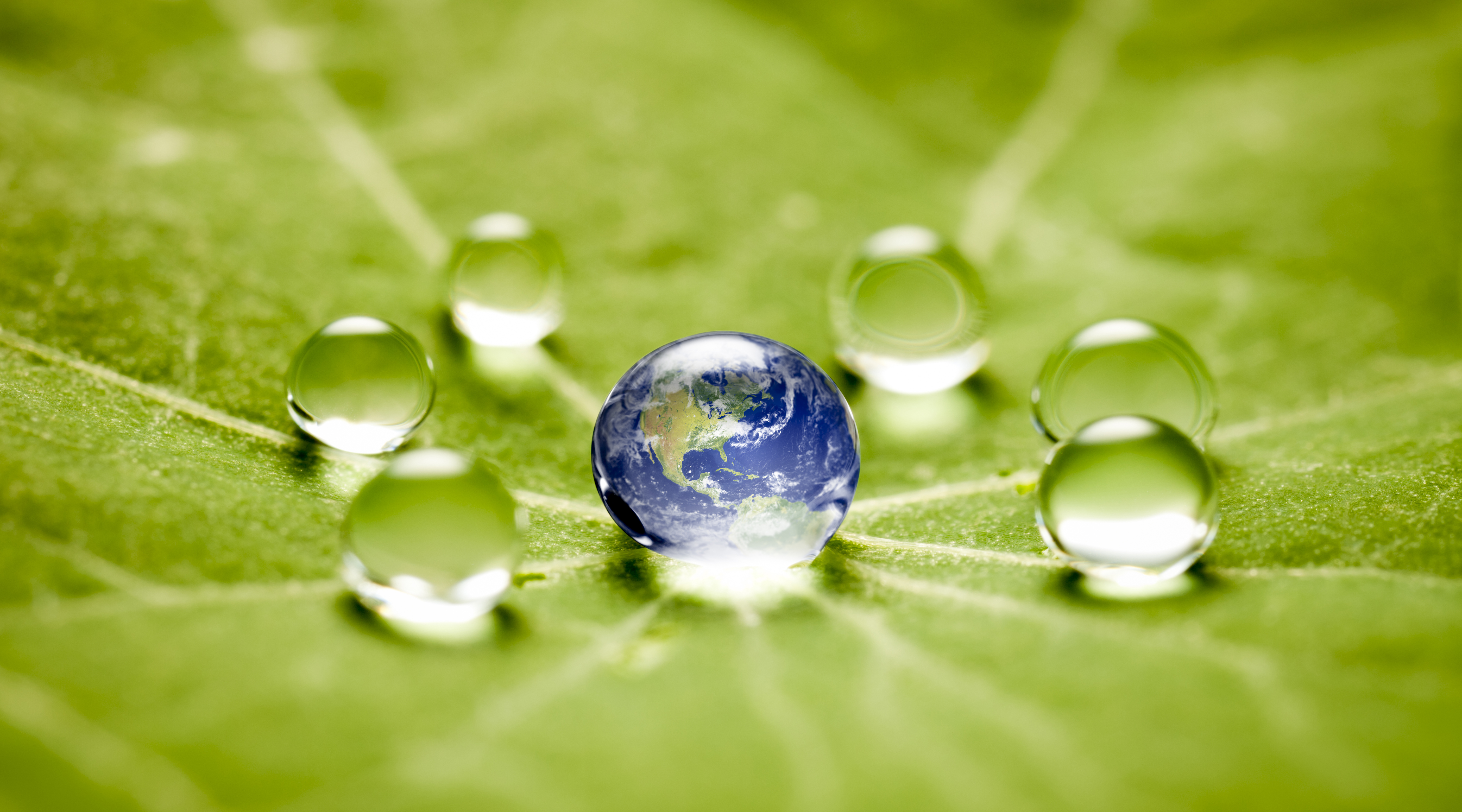 Earth on a water leaf.