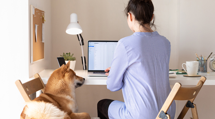 Woman working on computer at home