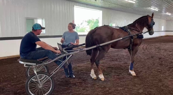 Man sitting in a wagon pulled by a horse talking to a woman
