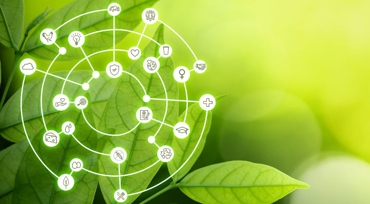 Leaves with a wheel illustration