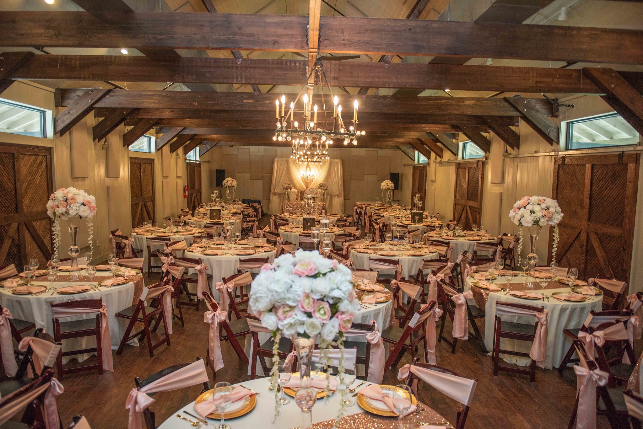 Wedding Reception